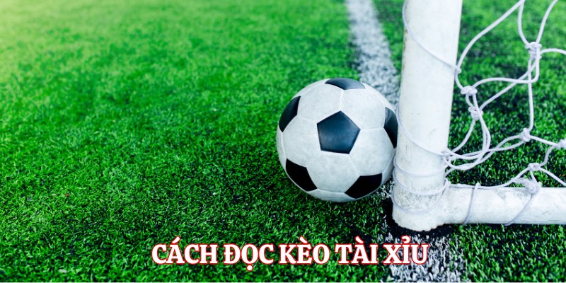 Cách đọc tỷ lệ cược tài xỉu bóng đá